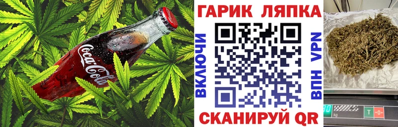 omg как зайти  Кашин  Cannafood марихуана 