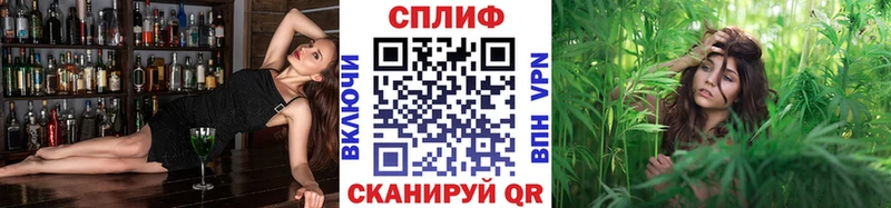 Бошки марихуана марихуана  Кашин 
